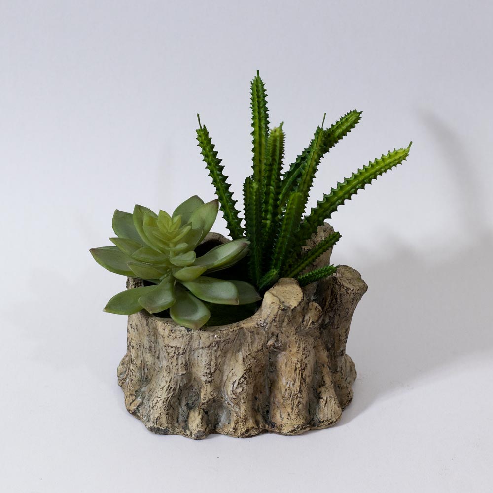 Ultra Realistic Heavyweight Pot With Succulent & Cactus Arrangement – Cynor